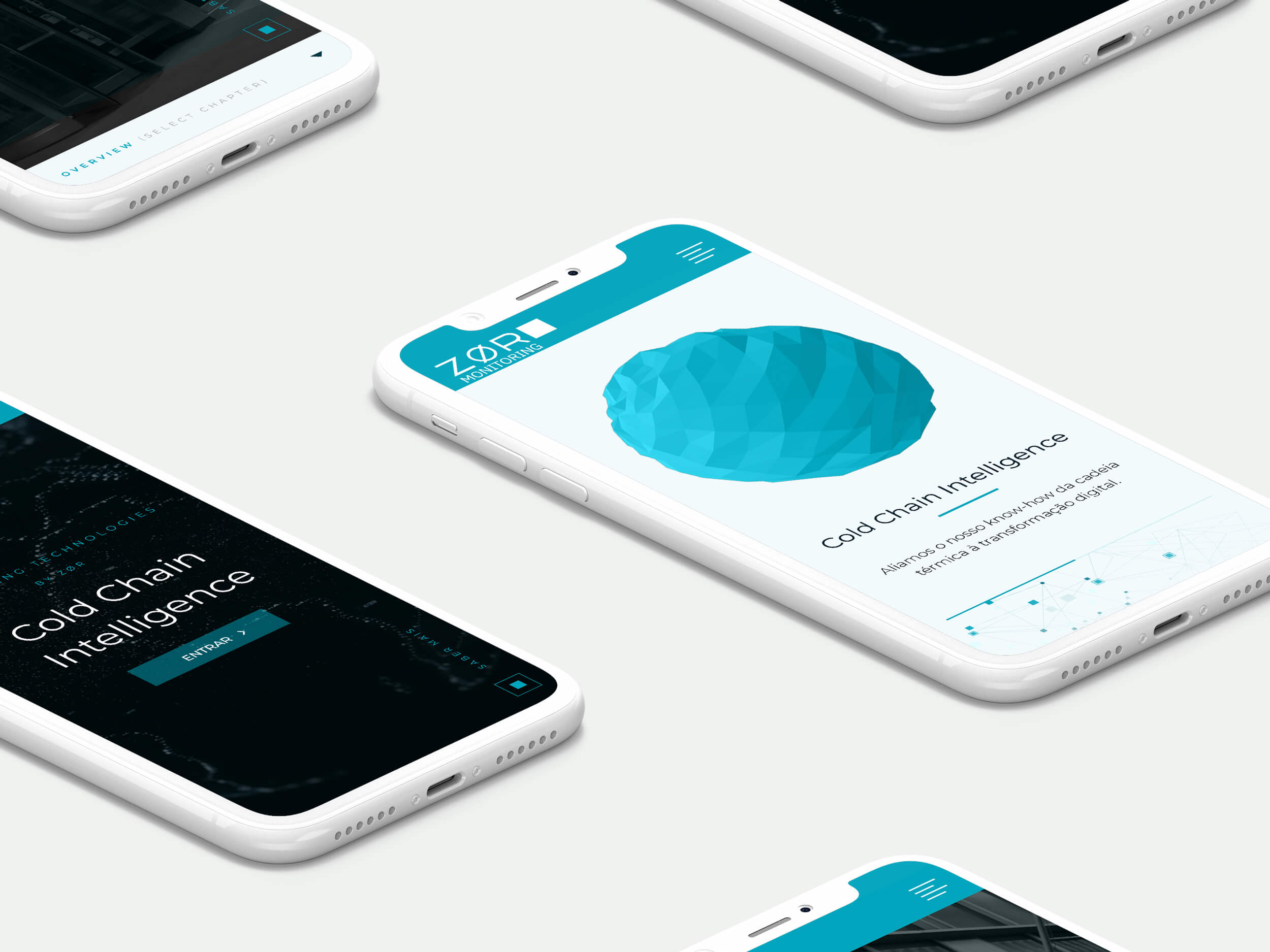 perspectivescreens_ZM_2